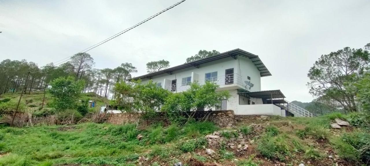The Green Pine Cottage 랜즈다운 외부 사진
